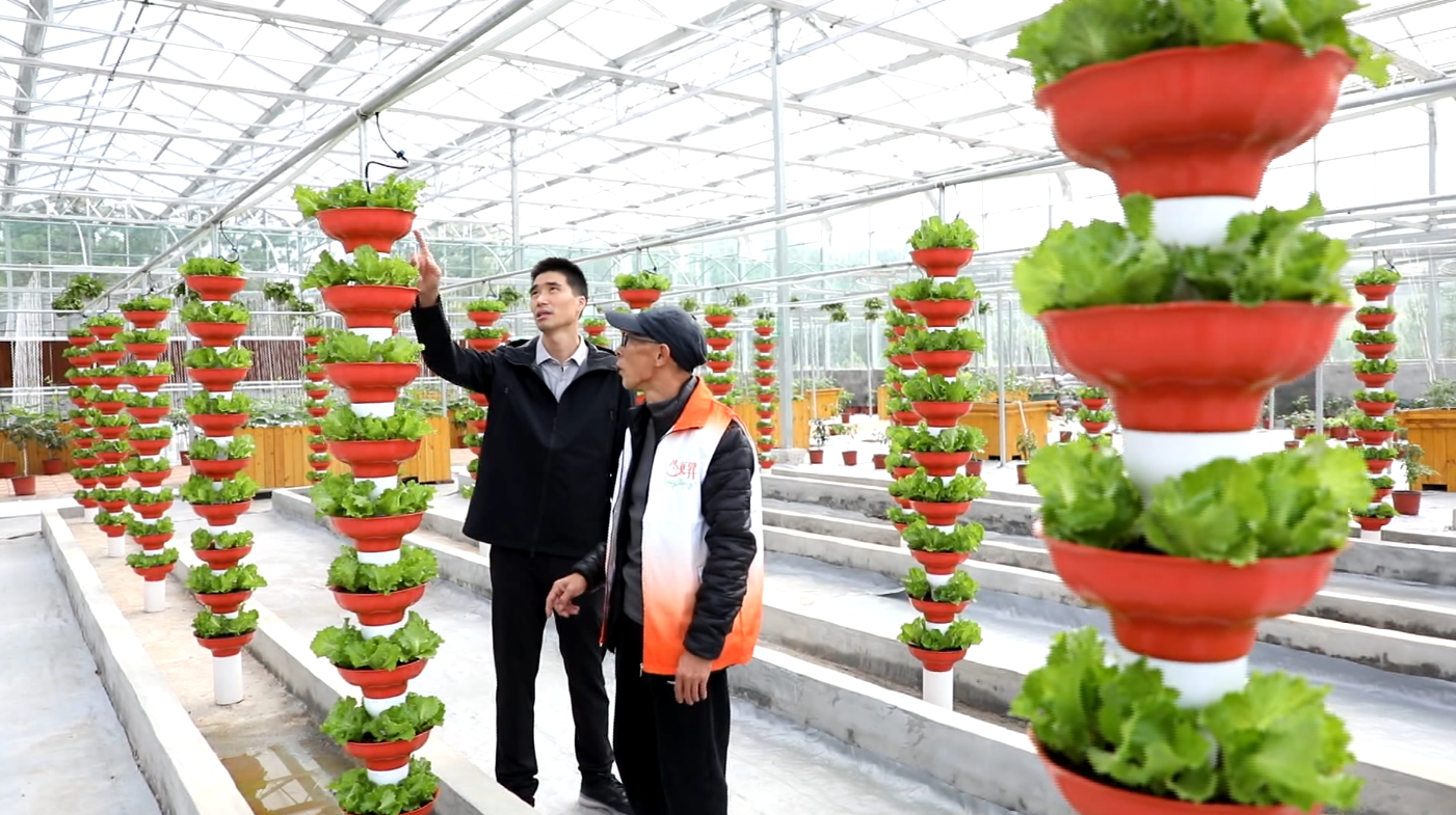 加拿大pc28预测(中国区)官方网站